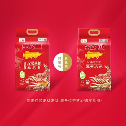 金龍魚稻花香10kg圖片 金龍魚稻花香10kg圖片 龍魚百科 第25張