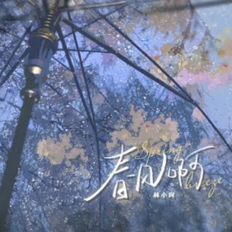 龍龍的音樂企劃有哪些具體內容？