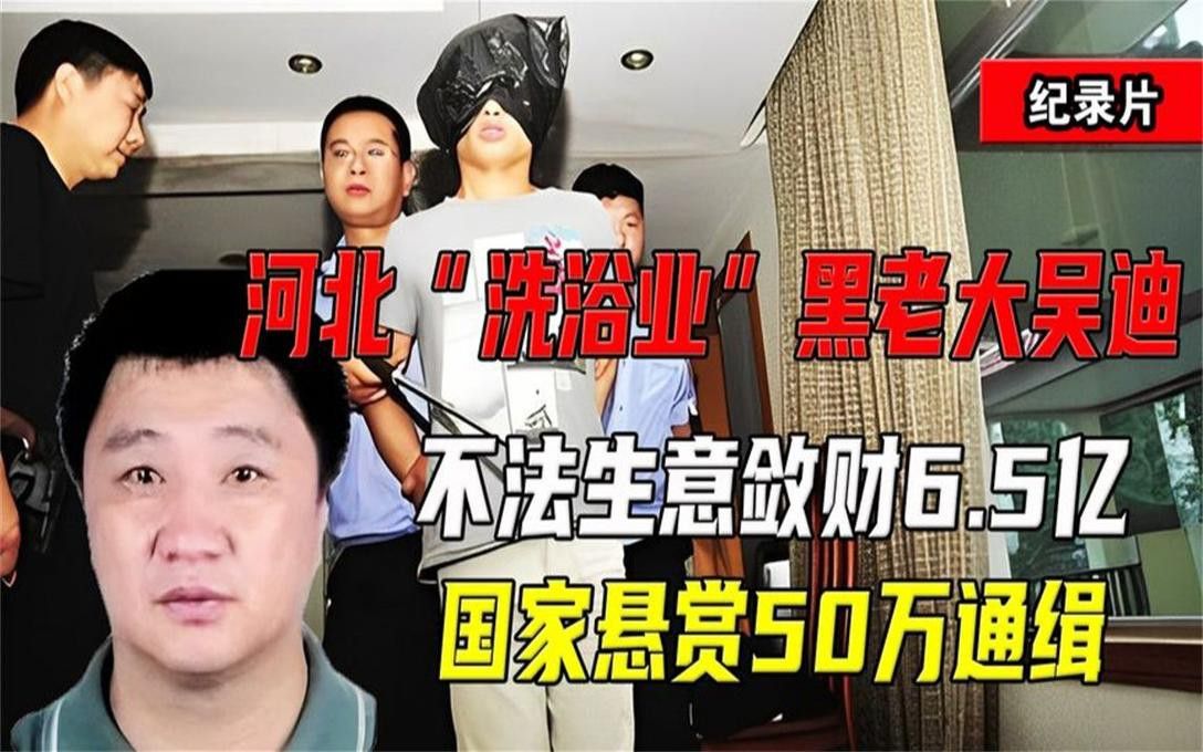 金龍魚石家莊倉儲部負責人吳迪