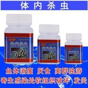龍魚驅蟲怎么看效果：如何判斷龍魚的驅蟲效果