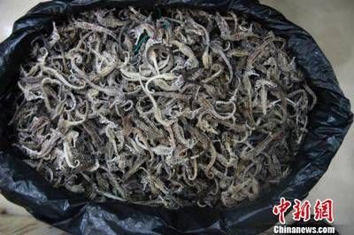 海龍魚干怎么吃：海龍魚干怎么吃海龍魚干的正確吃法)-海龍魚干的正確吃法