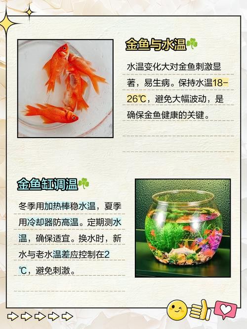 金魚可以和金龍魚一起養(yǎng)嗎