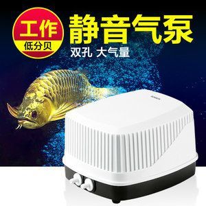 龍魚缸氧氣泵用不用一直開著（夏季龍魚缸氧氣需求增加嗎，如何判斷龍魚是否缺氧）