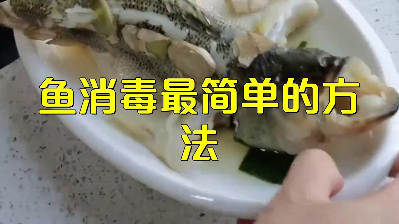 如何給20厘米過背金龍魚消毒？