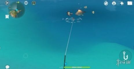 原神龍魚觀賞魚概率（《原神》怎么飼養觀賞魚）