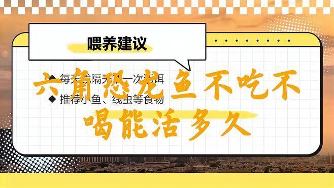 六角恐龍魚不吃東西可以活多久