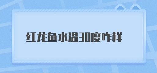 紅龍魚水溫30度可以嗎（紅龍魚水溫30度可以嗎紅龍魚水溫多少合適）