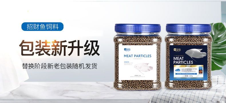 金龍魚的壽命有幾年：金龍魚的壽命多少年？揭秘這種古老魚類的長壽秘密