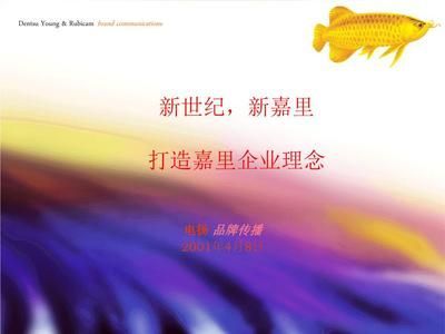 金龍魚公關(guān)活動(dòng)（金龍魚危機(jī)公關(guān)案例分析）