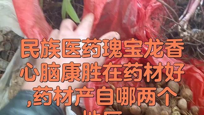 給我推薦一些優質的紅龍魚品牌或商家