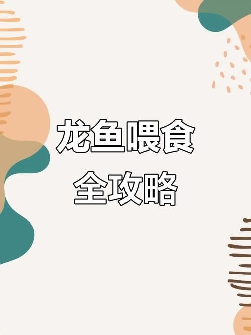 龍魚專用餌料配方大全圖解