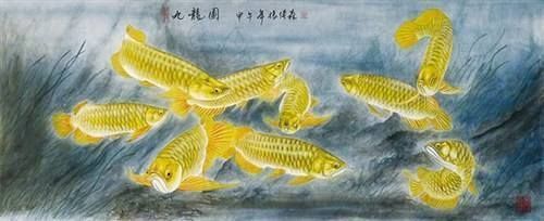 龍魚老孫龍魚背景故事：龍魚老孫的背景故事