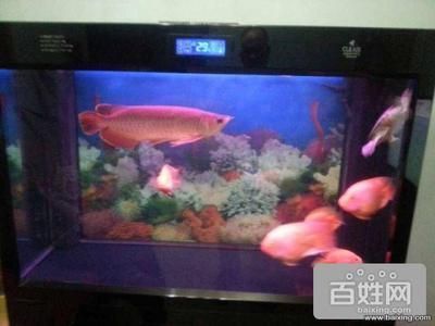 北京紅龍魚魚場地址查詢電話：北京紅龍魚漁場位于北京市朝陽區望京東園三區八號樓