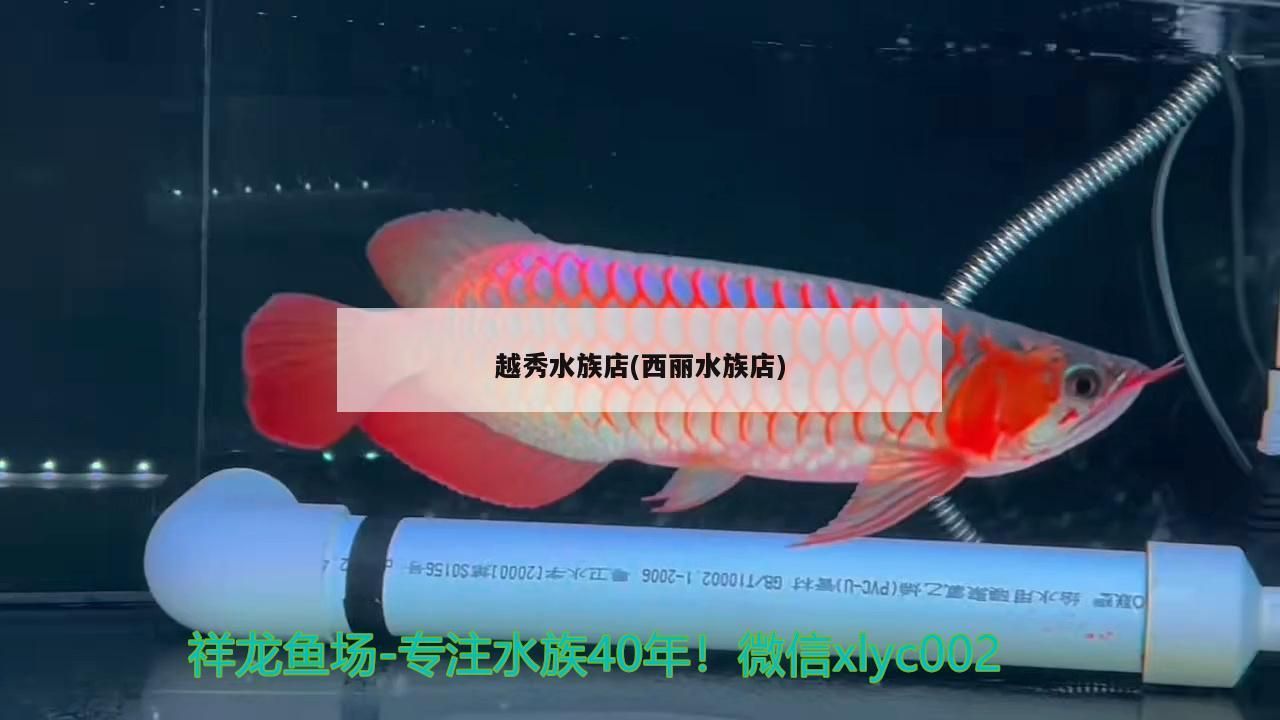 越秀水族店(西麗水族店)