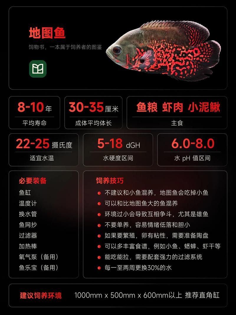龍魚和地圖魚喂什么