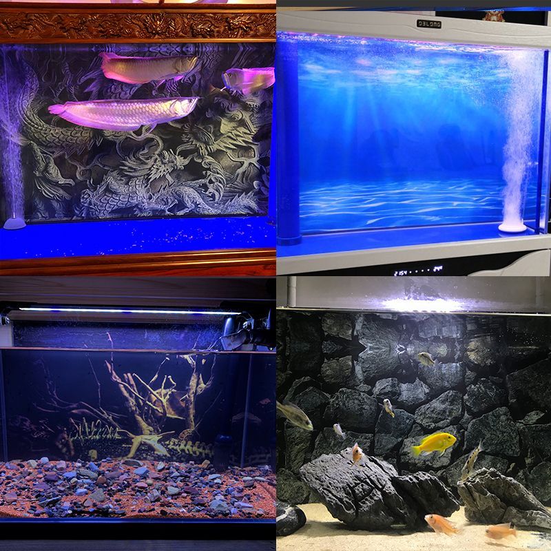 關于龍魚缸選購問題：9條龍魚缸養龍魚的魚缸養龍魚的魚缸怎么選購龍魚缸