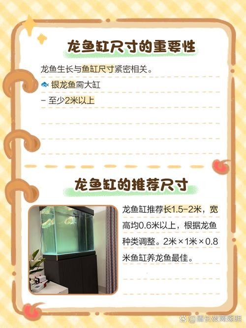龍魚缸尺寸
