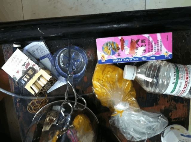龍魚怎么麻醉最好的方法圖解