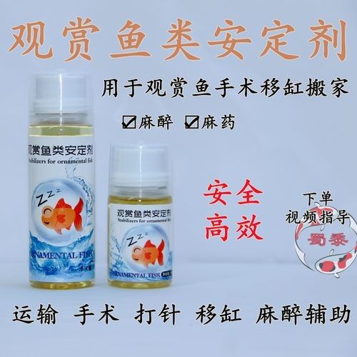 龍魚怎么麻醉最好的方法圖解