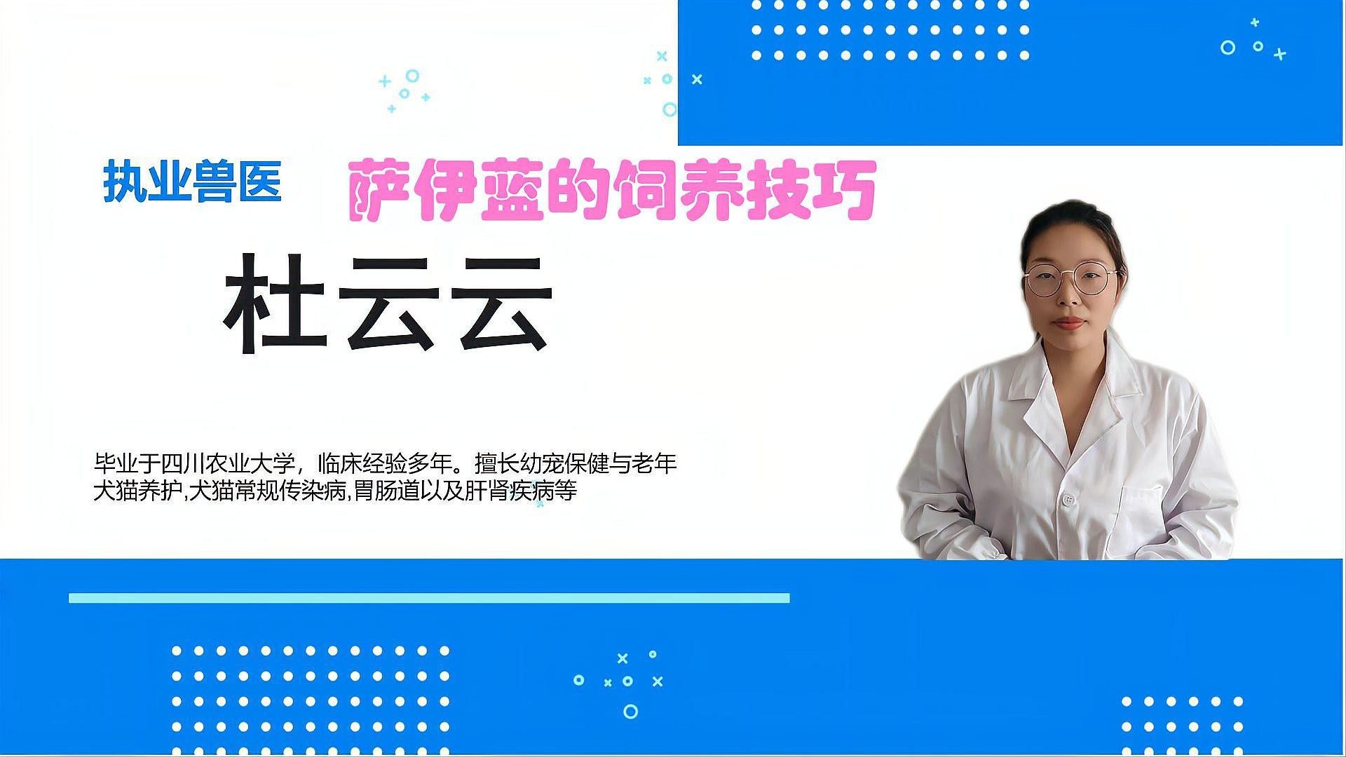 薩伊綠恐龍魚價格