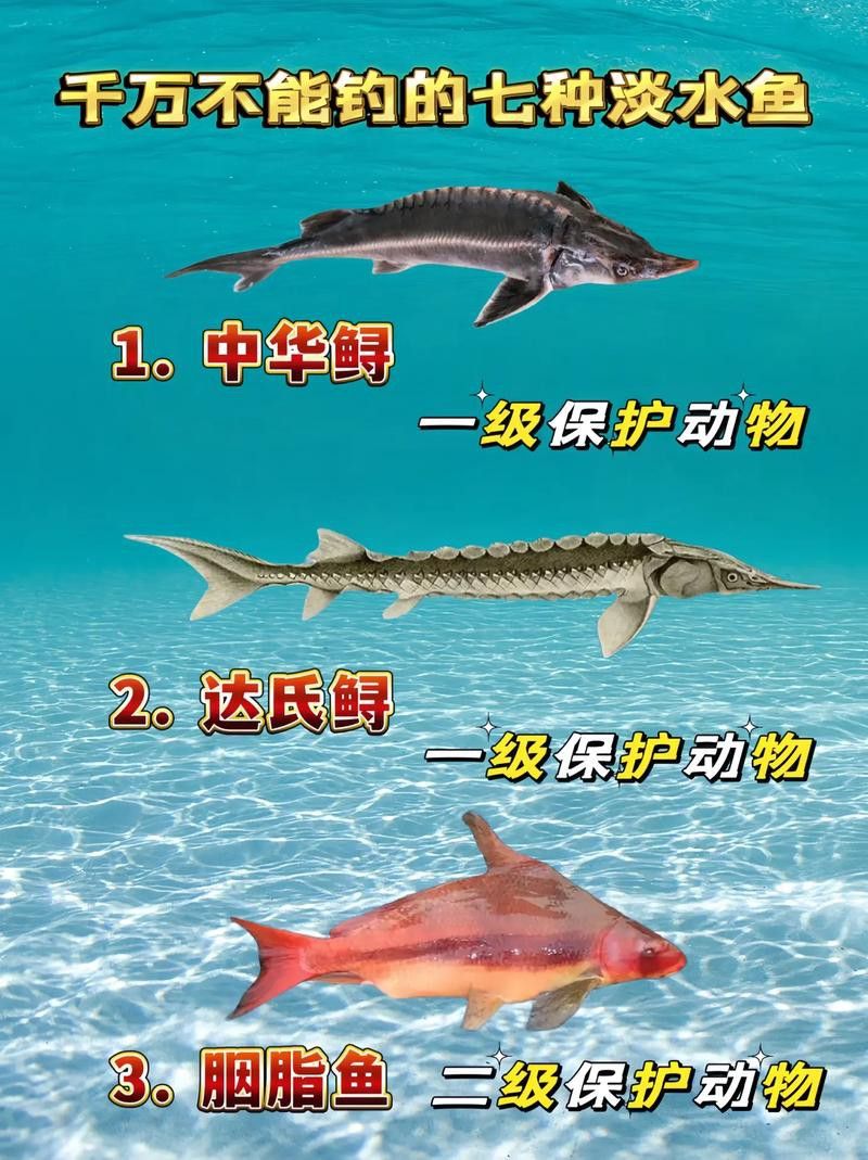 中華鱘和鱘龍魚有什么區別？