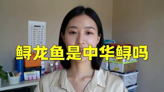 中華鱘和鱘龍魚有什么區別？