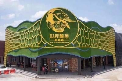 云南龍魚 北京自然博物館：北京自然博物館可以參觀云南龍魚