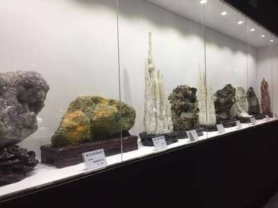 云南龍魚 北京自然博物館：北京自然博物館可以參觀云南龍魚