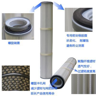 龍魚是怎么來的：龍魚的起源與演化，從遠古到現代的傳奇魚類