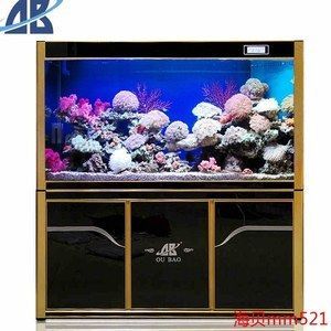 金龍魚缸換水的正確方法（金龍魚缸換水后的注意事項）