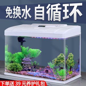 金龍魚缸換水的正確方法（金龍魚缸換水后的注意事項）