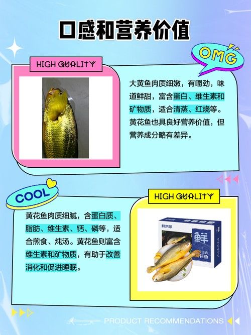 黃花恐龍魚和大花恐龍魚的區別圖片