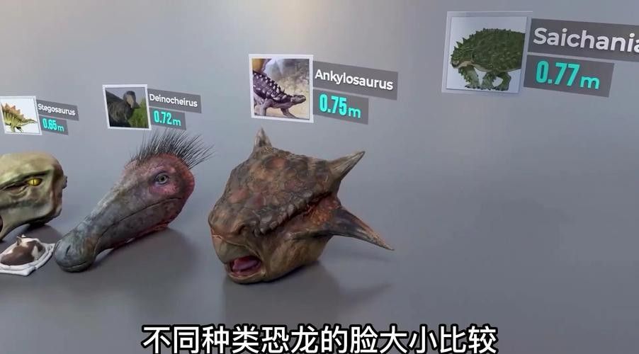 黃花恐龍魚和大花恐龍魚的區別圖片