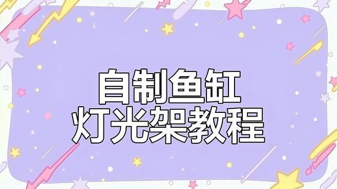 龍鱗美龍魚燈亞克力支架