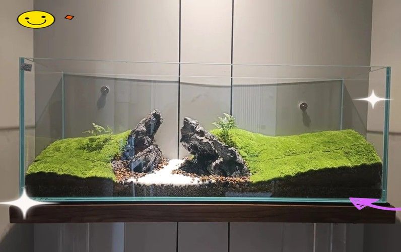 龍魚缸石頭造景圖片高清