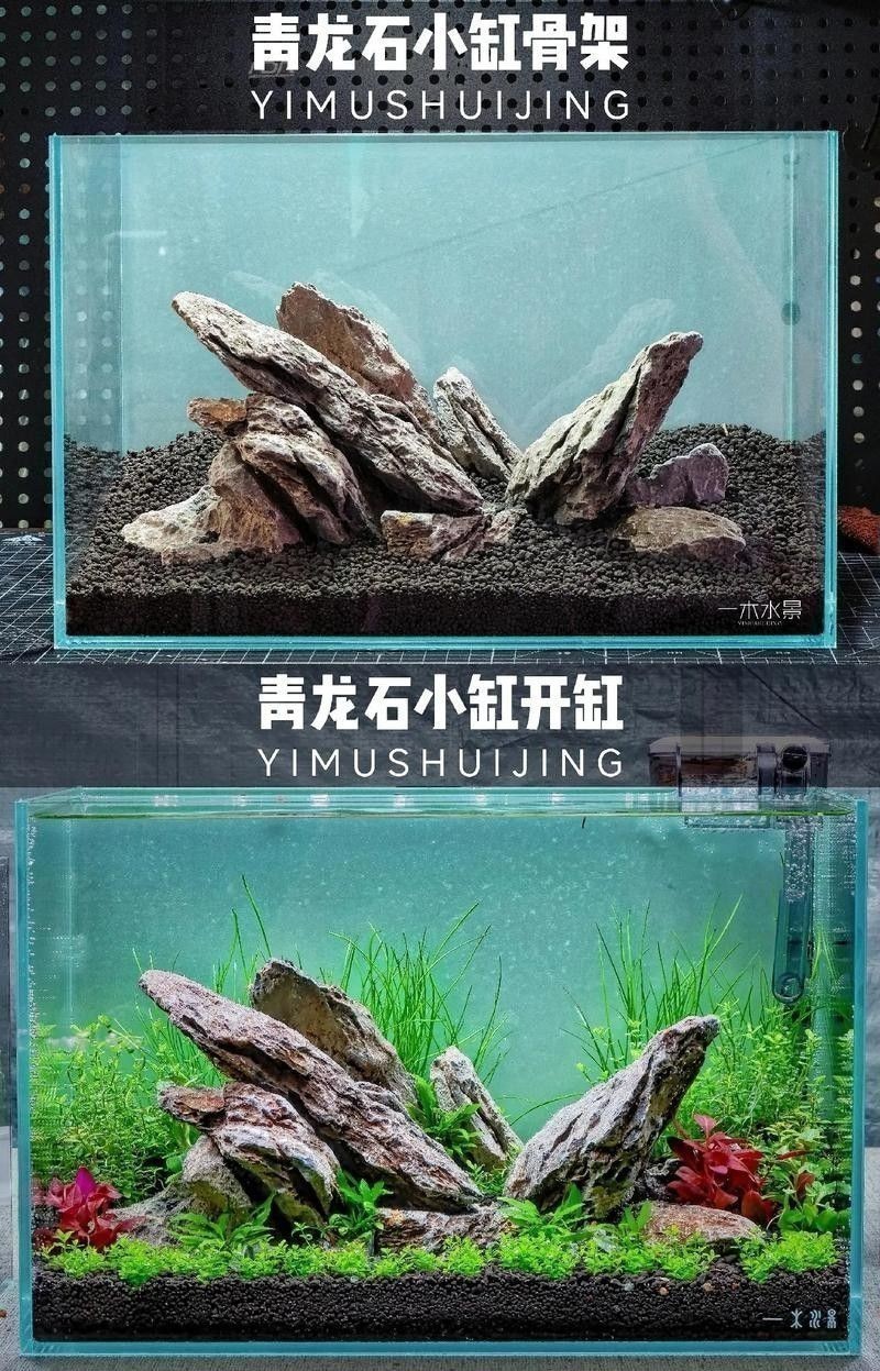 龍魚缸石頭造景圖片高清