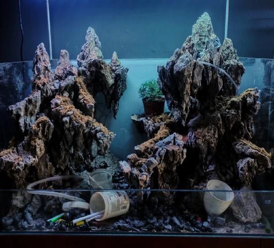 龍魚缸石頭造景圖片高清