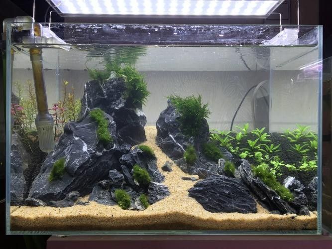 龍魚缸石頭造景圖片高清