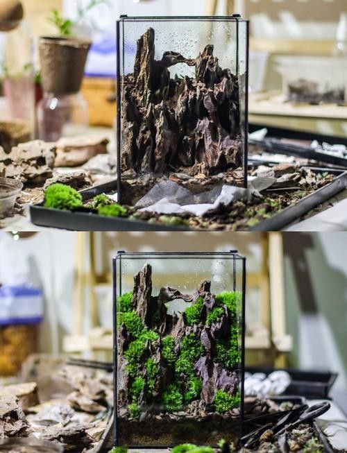 龍魚缸石頭造景圖片高清