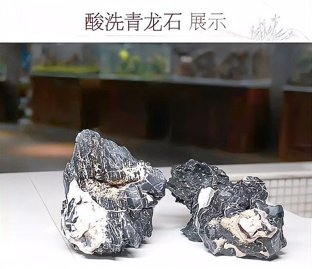 龍魚缸石頭造景圖片高清