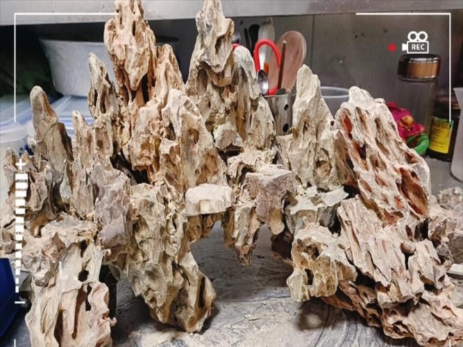 龍魚缸石頭造景圖片高清