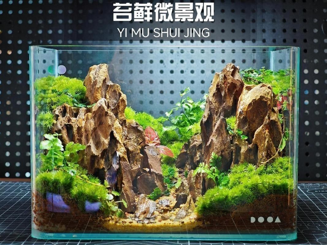 龍魚缸石頭造景圖片高清