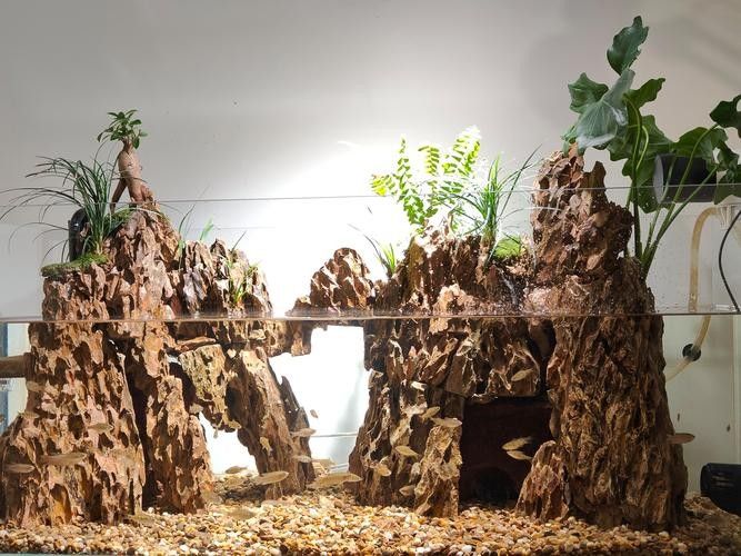 龍魚缸石頭造景圖片高清