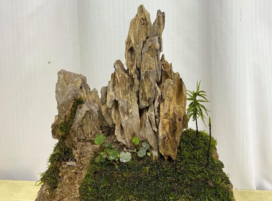 龍魚缸石頭造景圖片高清
