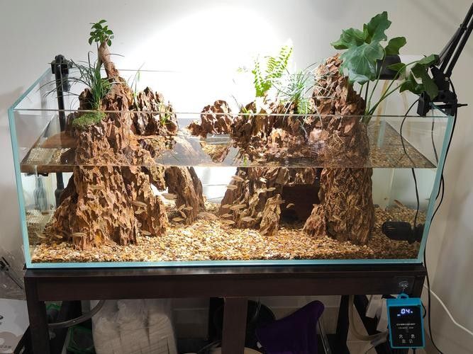 龍魚缸石頭造景圖片高清
