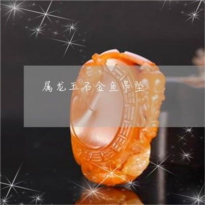 屬龍適合養什么金魚：屬龍的人在選擇金魚時需要注意以下幾點