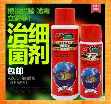龍魚(yú)松鱗病治療期間如何調(diào)整水質(zhì)？ 龍魚(yú)松鱗病治療期間如何調(diào)整水質(zhì)？ 龍魚(yú)百科 第4張