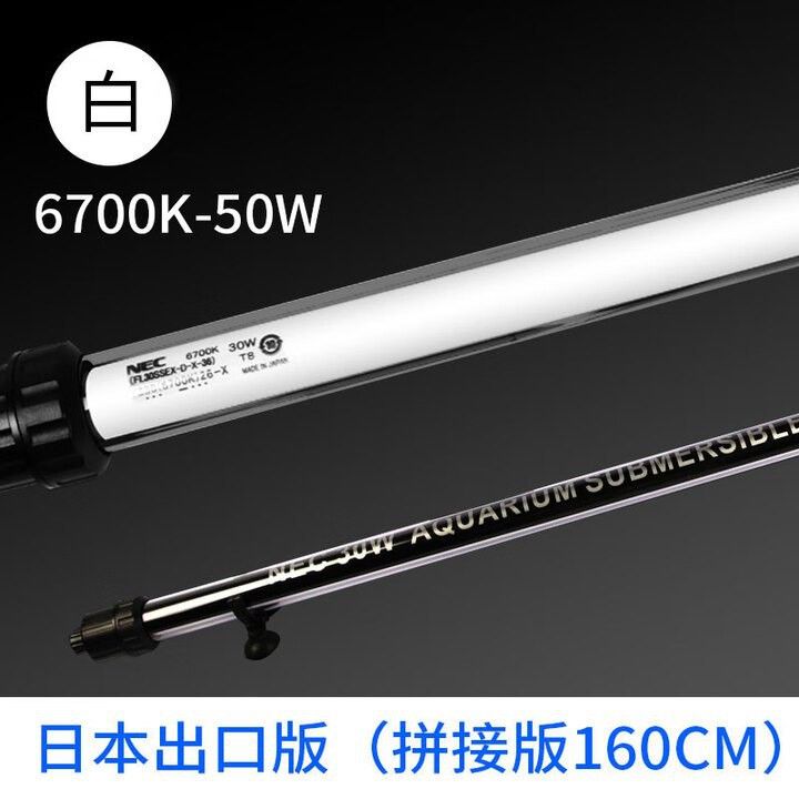 nec龍魚燈官網 nec龍魚燈官網 龍魚百科 第3張