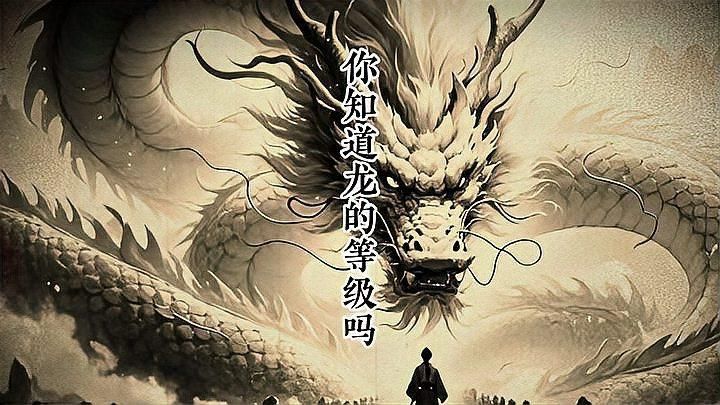 龍的等級排列順序