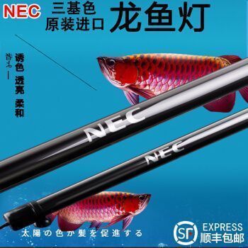 龍魚虎魚混養搭配的寓意：龍魚虎魚混養搭配的寓意，風水與觀賞價值的完美結合